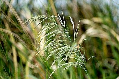 《太阳帝国的原罪2》厂商解释为何没有大规模宣传